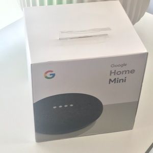 NIB Google Home Mini